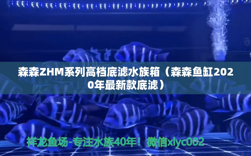 森森ZHM系列高档底滤水族箱（森森鱼缸2020年最新款底滤） 鱼缸/水族箱