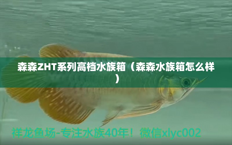 森森ZHT系列高档水族箱（森森水族箱怎么样）