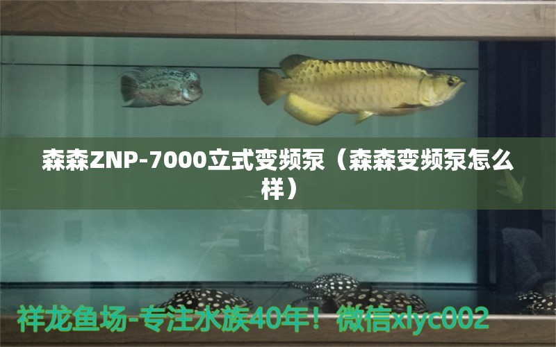 森森ZNP-7000立式变频泵（森森变频泵怎么样）