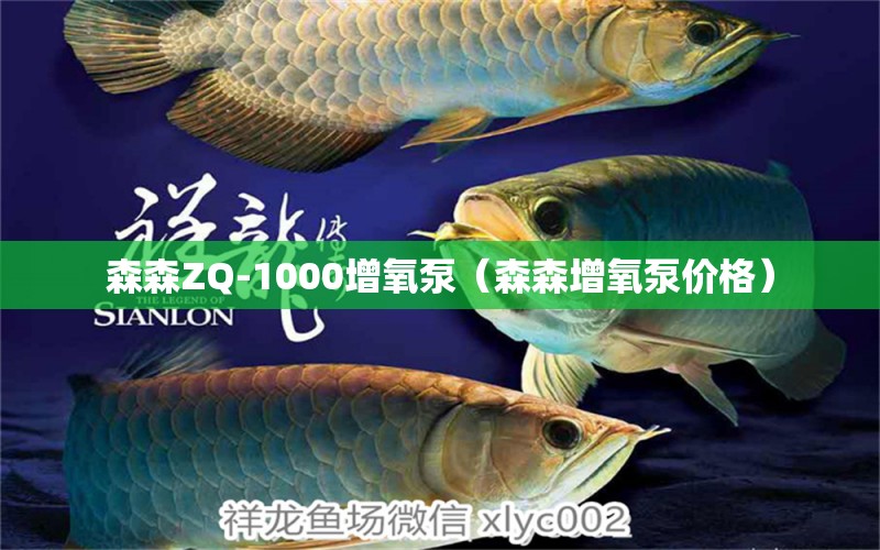 森森ZQ-1000增氧泵（森森增氧泵价格） 森森鱼缸