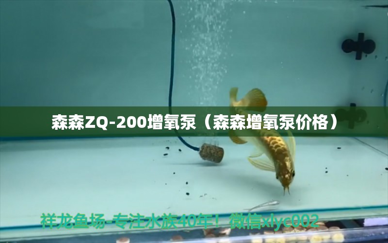 森森ZQ-200增氧泵（森森增氧泵价格）