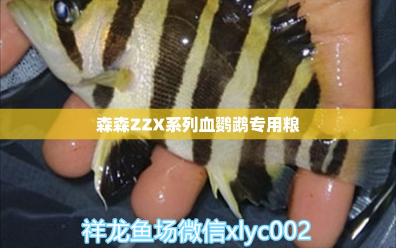 森森ZZX系列血鹦鹉专用粮 鹦鹉鱼