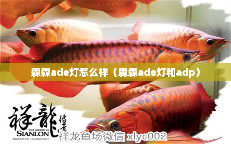 森森ade灯怎么样（森森ade灯和adp）