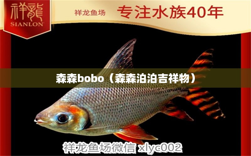 森森bobo（森森泊泊吉祥物） 森森鱼缸