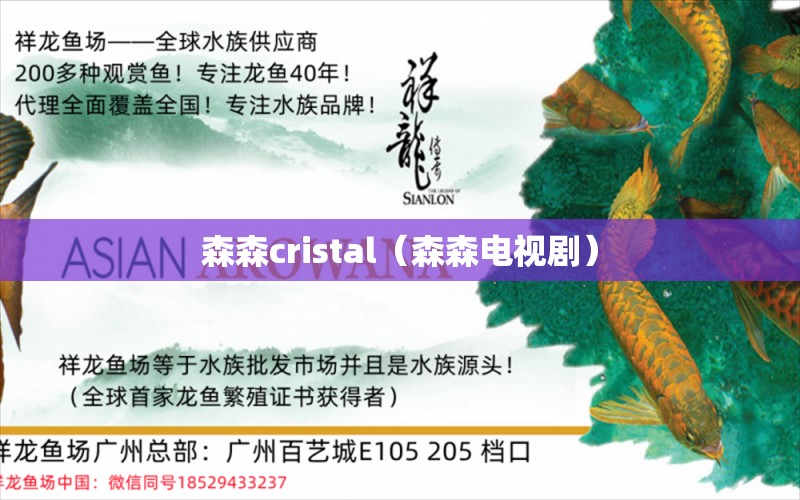 森森cristal（森森电视剧）