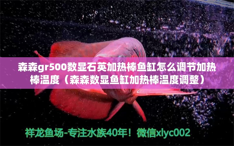 森森gr500数显石英加热棒鱼缸怎么调节加热棒温度（森森数显鱼缸加热棒温度调整）