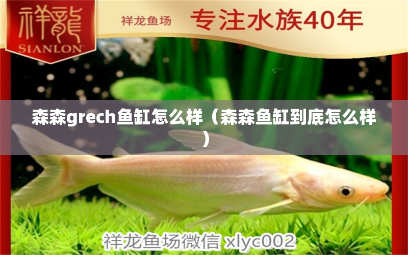 森森grech鱼缸怎么样（森森鱼缸到底怎么样） 森森鱼缸