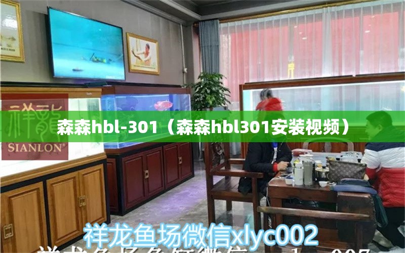 森森hbl-301（森森hbl301安装视频）