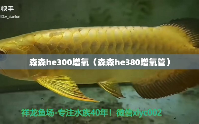 森森he300增氧（森森he380增氧管）