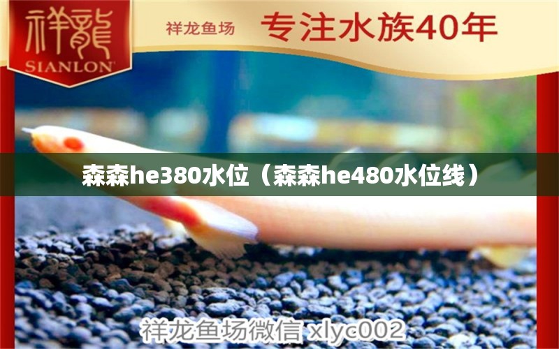 森森he380水位（森森he480水位线）