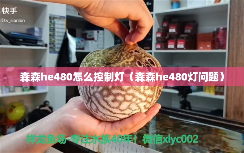 森森he480怎么控制灯（森森he480灯问题）