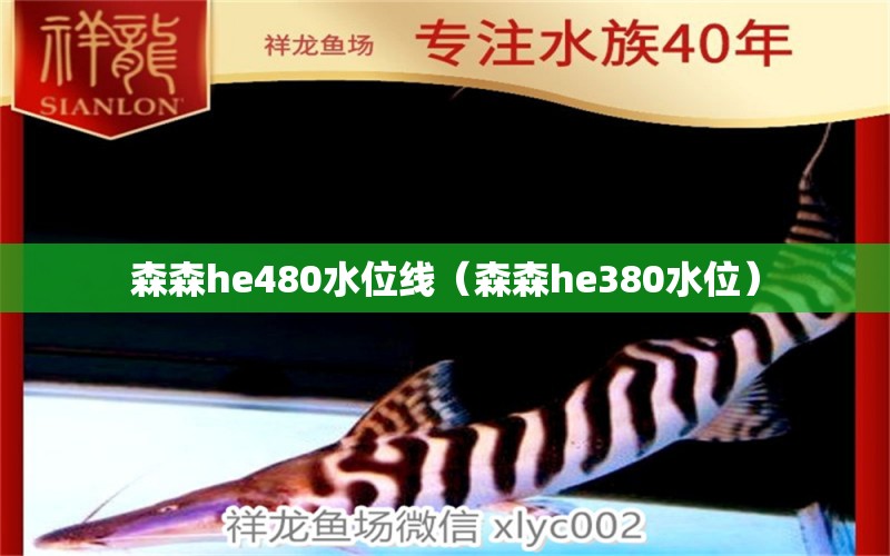 森森he480水位线（森森he380水位） 森森鱼缸