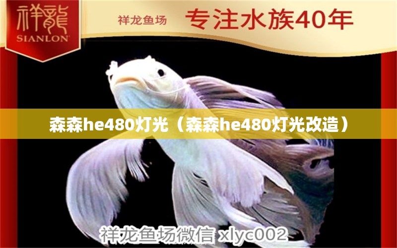 森森he480灯光（森森he480灯光改造）