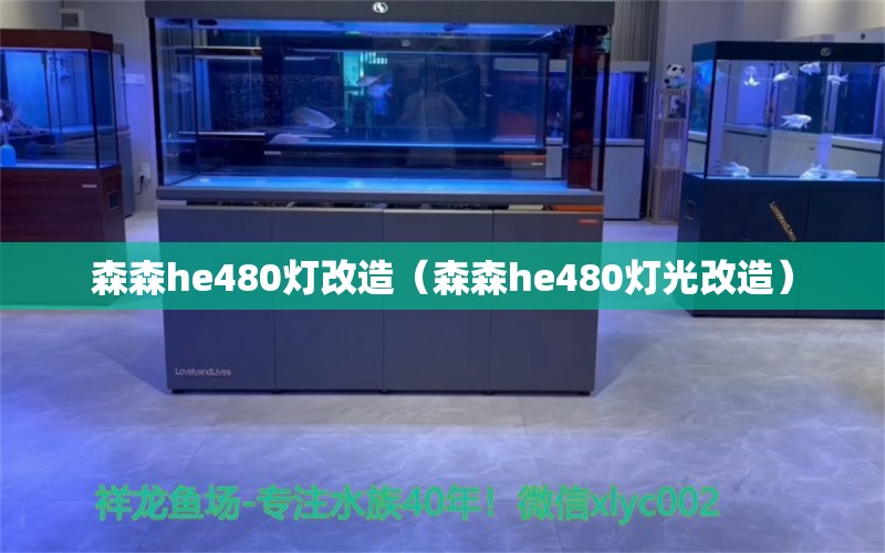 森森he480灯改造（森森he480灯光改造）