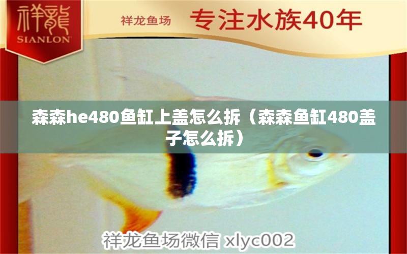 森森he480鱼缸上盖怎么拆（森森鱼缸480盖子怎么拆）