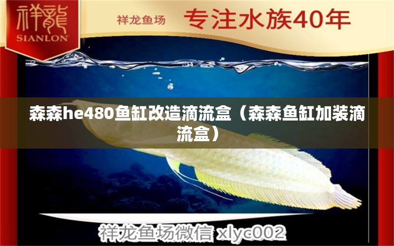 森森he480鱼缸改造滴流盒（森森鱼缸加装滴流盒）