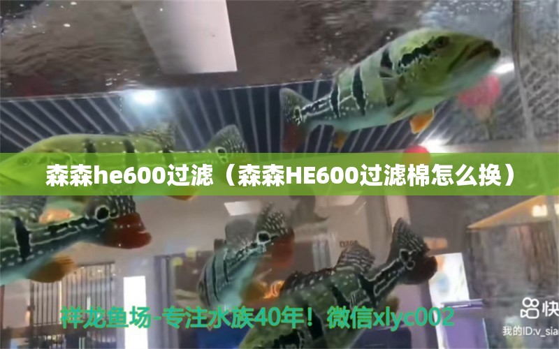 森森he600过滤（森森HE600过滤棉怎么换） 森森鱼缸