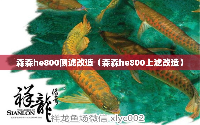 森森he800侧滤改造（森森he800上滤改造）