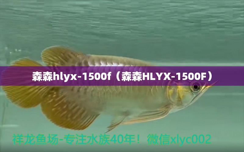 森森hlyx-1500f（森森HLYX-1500F）