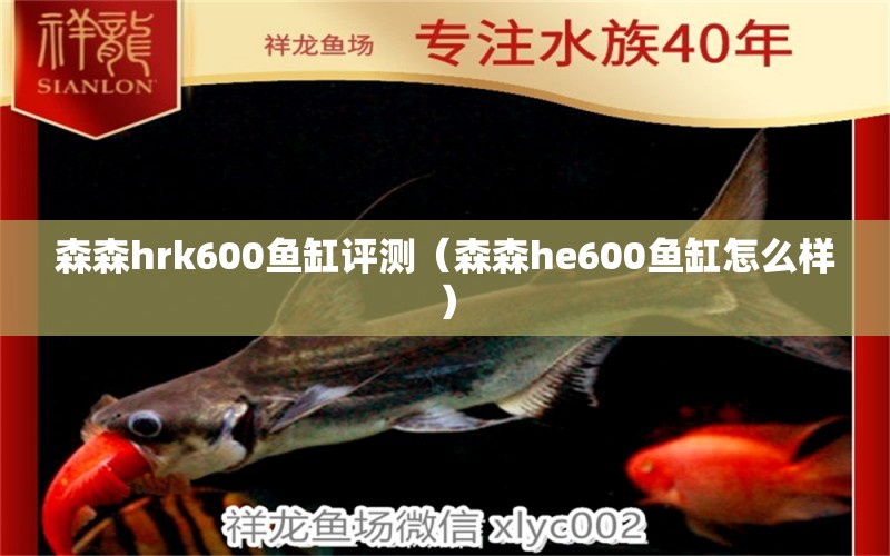 森森hrk600鱼缸评测（森森he600鱼缸怎么样） 森森鱼缸