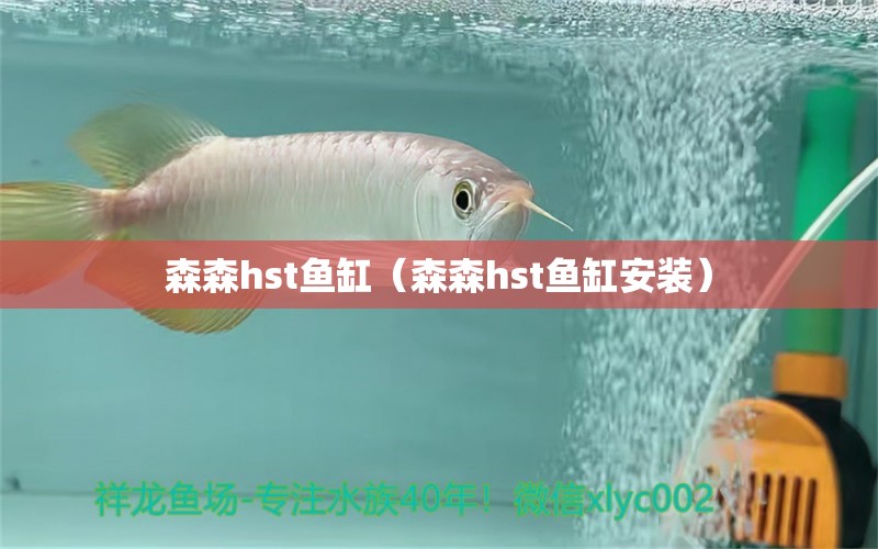 森森hst鱼缸（森森hst鱼缸安装） 森森鱼缸