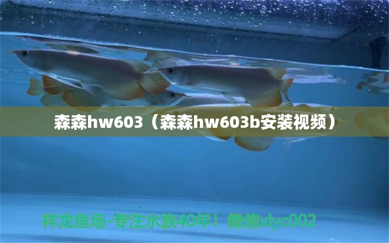 森森hw603（森森hw603b安装视频）