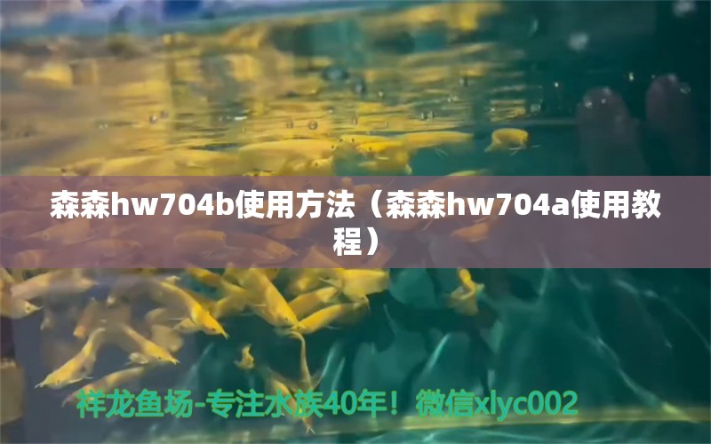 森森hw704b使用方法（森森hw704a使用教程） 森森鱼缸