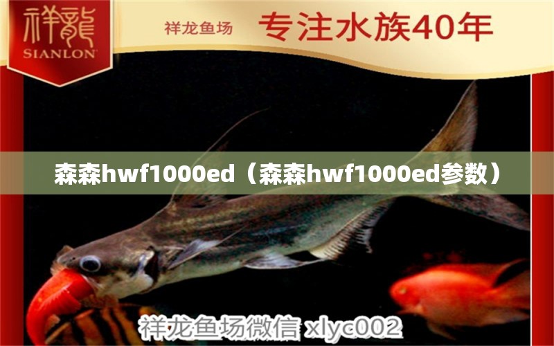 森森hwf1000ed（森森hwf1000ed参数）