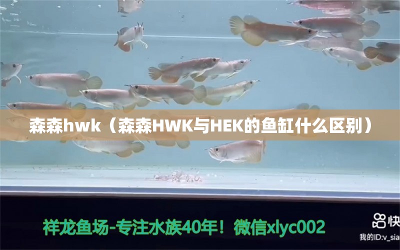 森森hwk（森森HWK与HEK的鱼缸什么区别）