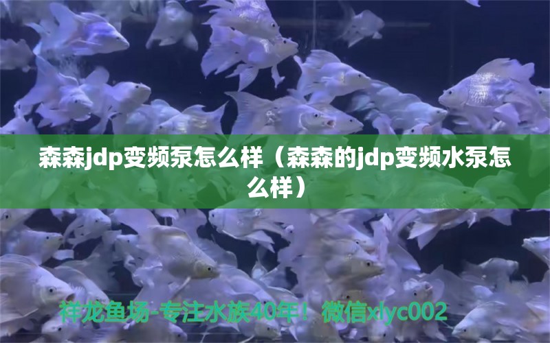 森森jdp变频泵怎么样（森森的jdp变频水泵怎么样） 过滤设备