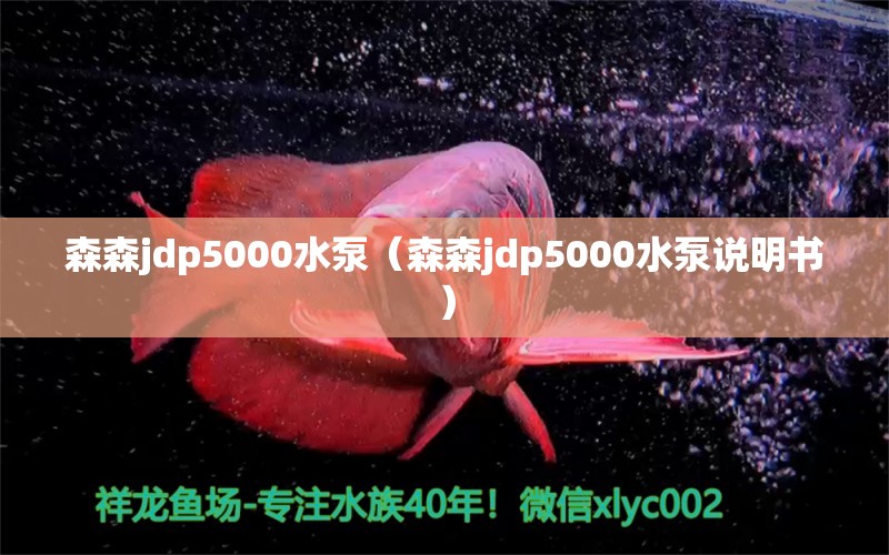 森森jdp5000水泵（森森jdp5000水泵说明书）