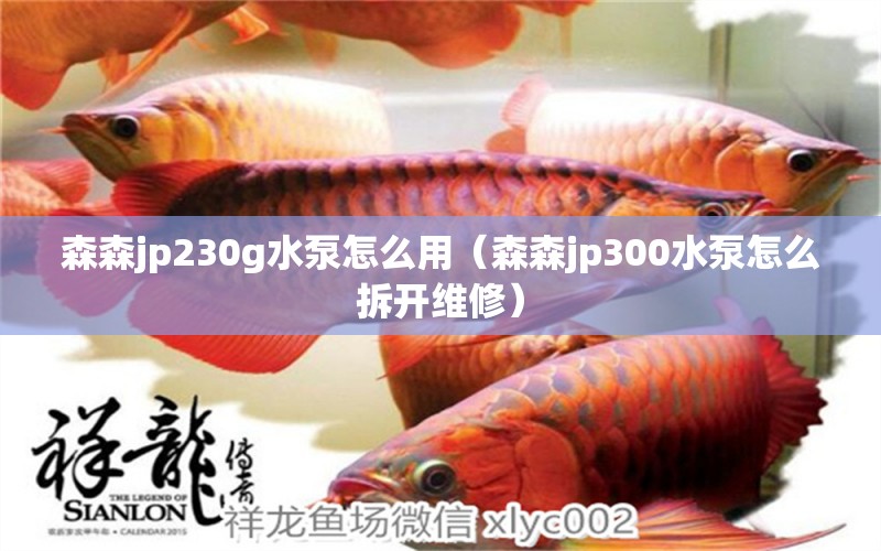 森森jp230g水泵怎么用（森森jp300水泵怎么拆开维修） 森森鱼缸