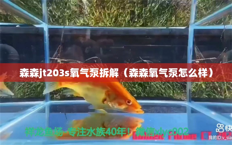 森森jt203s氧气泵拆解（森森氧气泵怎么样） 森森鱼缸