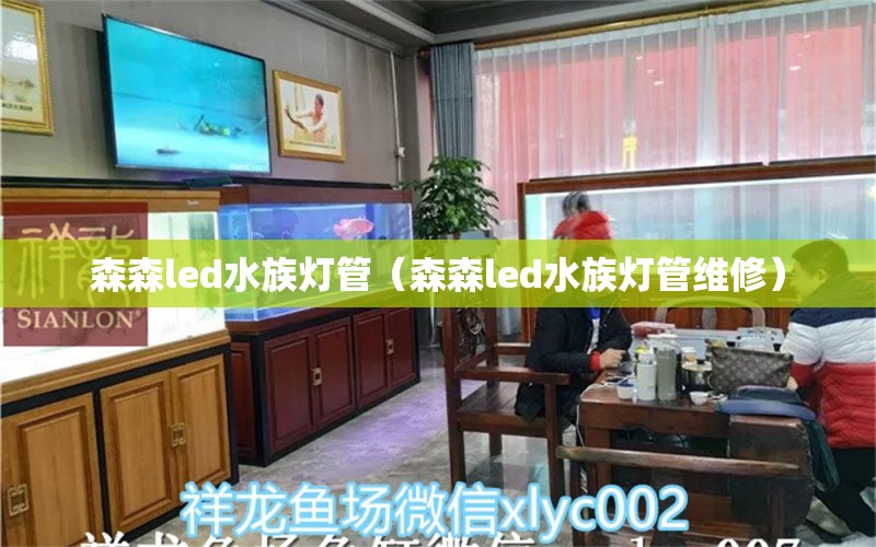 森森led水族灯管（森森led水族灯管维修）