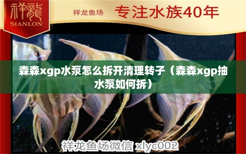 森森xgp水泵怎么拆开清理转子（森森xgp抽水泵如何拆）