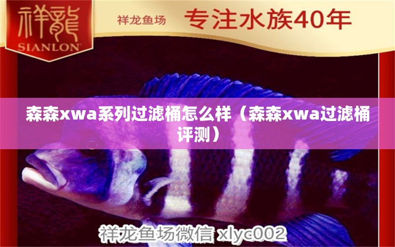 森森xwa系列过滤桶怎么样（森森xwa过滤桶评测） 森森鱼缸