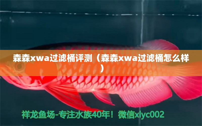 森森xwa过滤桶评测（森森xwa过滤桶怎么样）