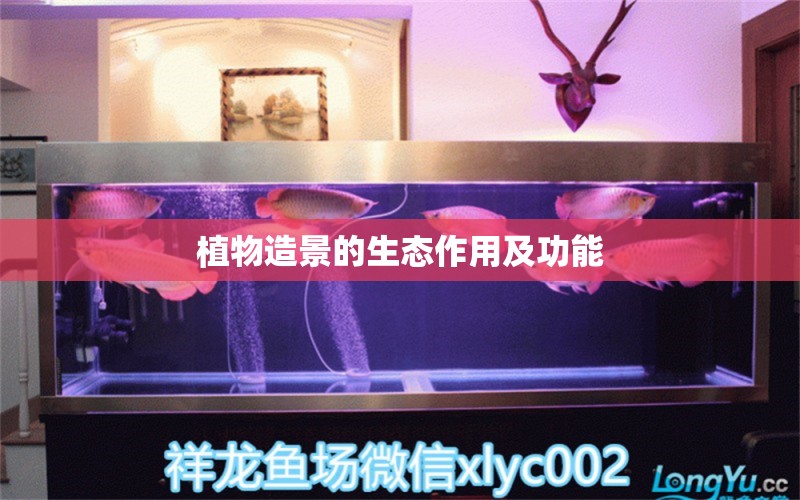 植物造景的生态作用及功能 祥龙水族滤材/器材