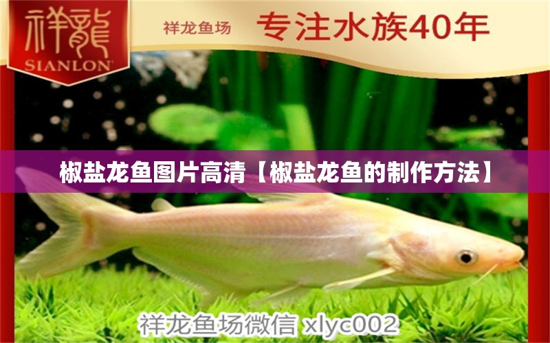 椒盐龙鱼图片高清【椒盐龙鱼的制作方法】 水族问答 第1张