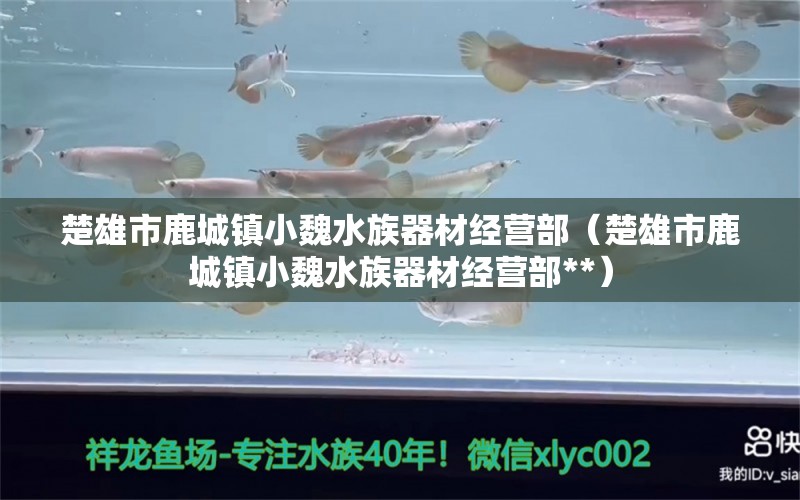 楚雄市鹿城镇小魏水族器材经营部（楚雄市鹿城镇小魏水族器材经营部**）