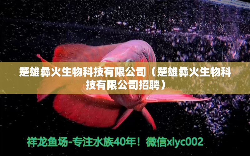 楚雄彝火生物科技有限公司（楚雄彝火生物科技有限公司招聘）