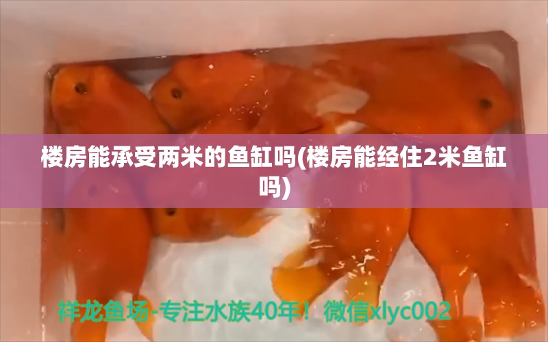 楼房能承受两米的鱼缸吗(楼房能经住2米鱼缸吗)