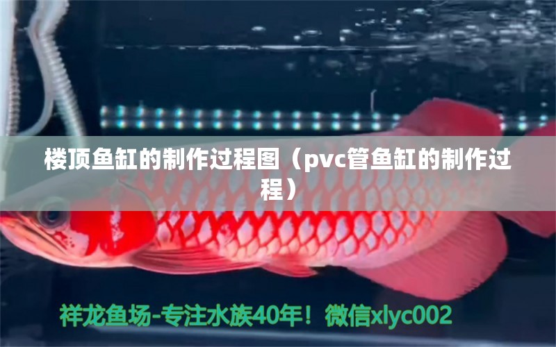 楼顶鱼缸的制作过程图（pvc管鱼缸的制作过程）