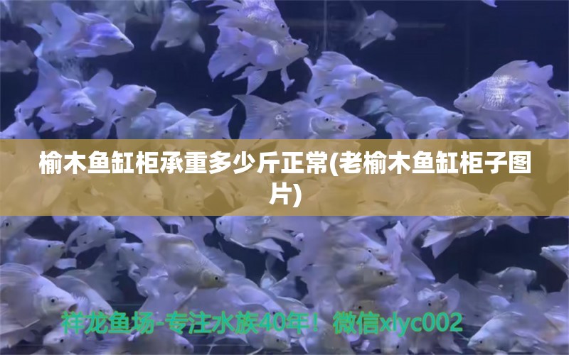 榆木鱼缸柜承重多少斤正常(老榆木鱼缸柜子图片)