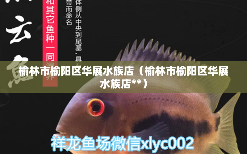 榆林市榆阳区华展水族店（榆林市榆阳区华展水族店**）