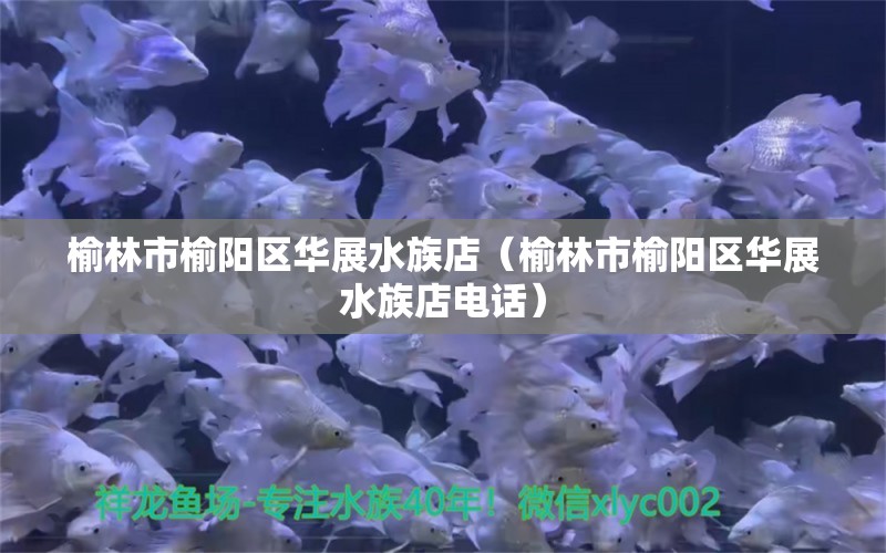 榆林市榆阳区华展水族店（榆林市榆阳区华展水族店电话）