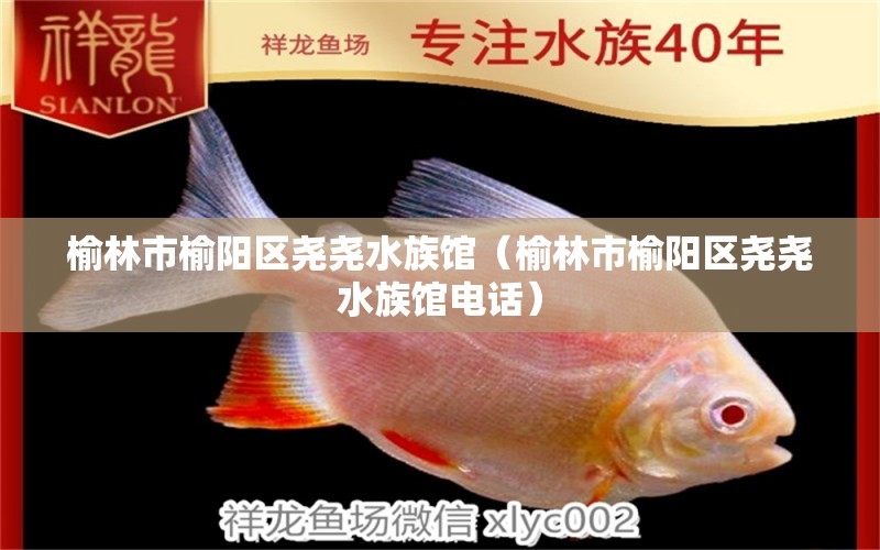 榆林市榆阳区尧尧水族馆（榆林市榆阳区尧尧水族馆电话） 全国水族馆企业名录