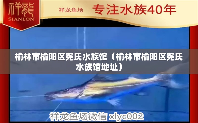 榆林市榆阳区尧氏水族馆（榆林市榆阳区尧氏水族馆地址） 全国水族馆企业名录