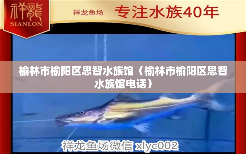 榆林市榆阳区思智水族馆（榆林市榆阳区思智水族馆电话） 全国水族馆企业名录