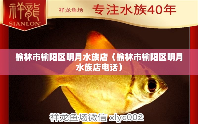 榆林市榆阳区明月水族店（榆林市榆阳区明月水族店电话） 全国水族馆企业名录